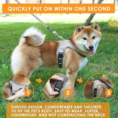 Reflective Dog Harness & Leash Set – Reflective, Comfy & Secure
