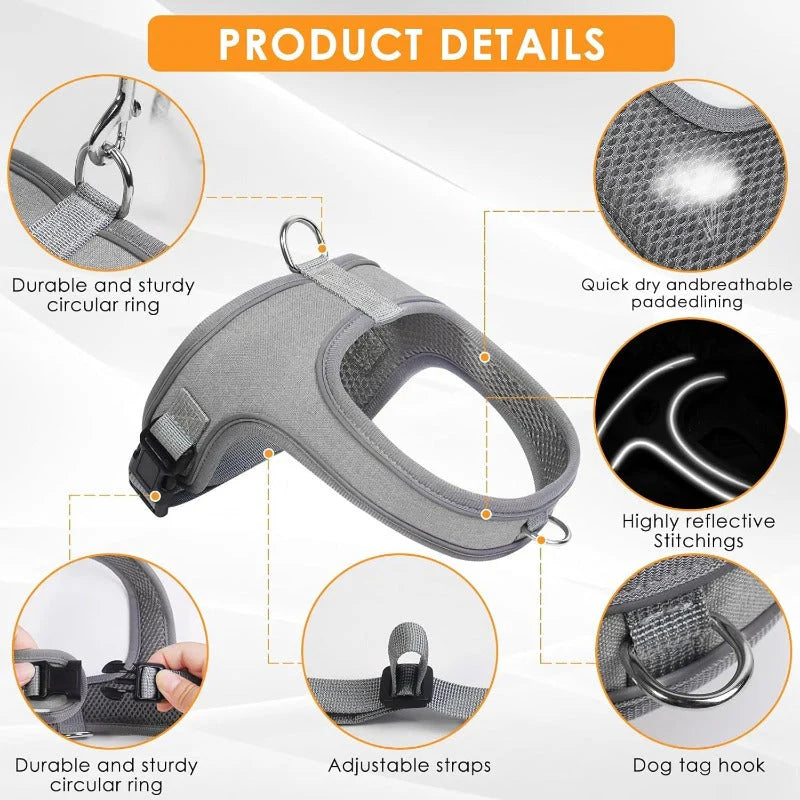 Reflective Dog Harness & Leash Set – Reflective, Comfy & Secure