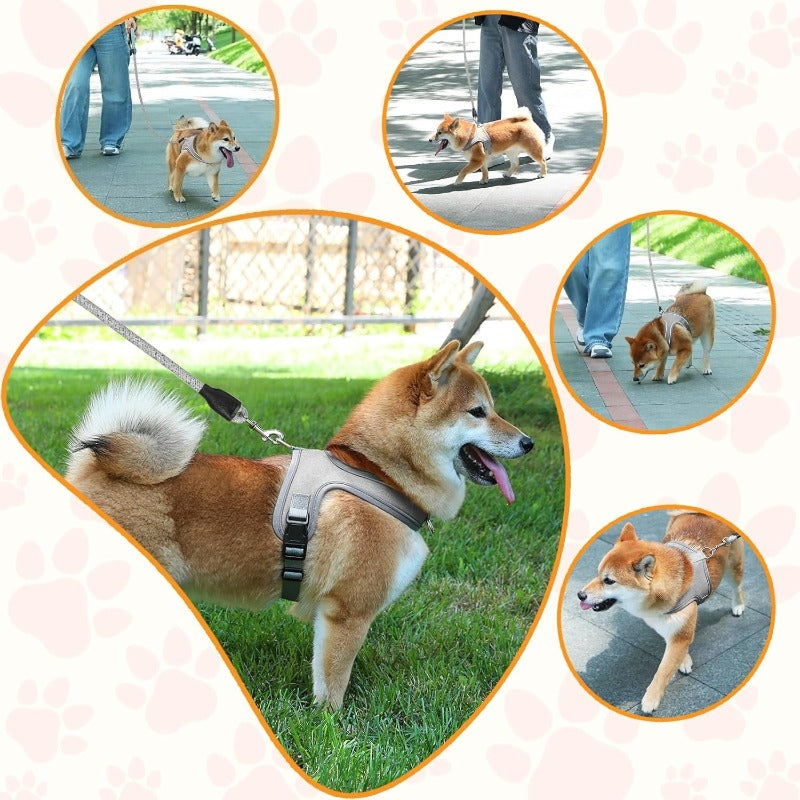 Matching leash included with reflective harness set
